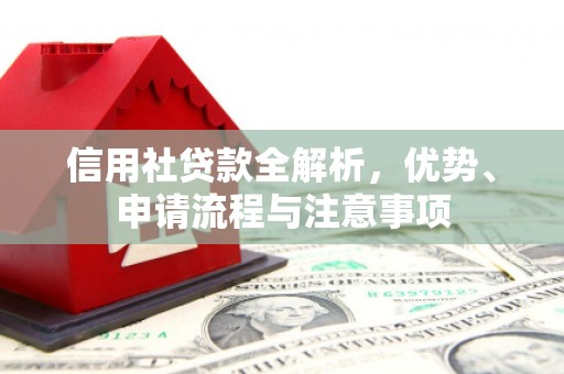 大丰信用社贷款全解析，优势、申请流程与注意事项