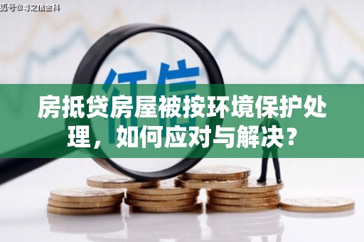 陆河房抵贷房屋被按环境保护处理，如何应对与解决？