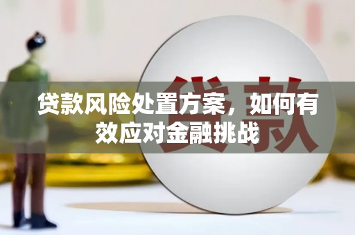 南靖贷款风险处置方案，如何有效应对金融挑战